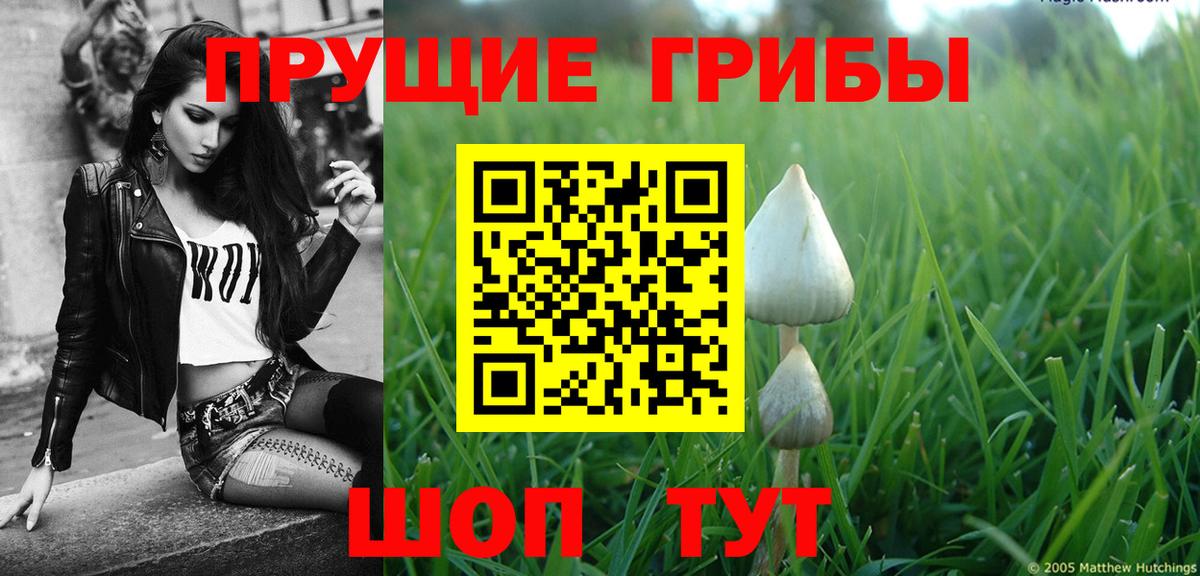 Псилоцибиновые грибы прущие грибы Магнитогорск