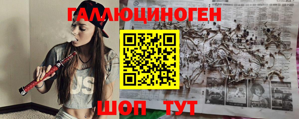 Галлюциногенные грибы MAGIC MUSHROOMS  Вход с VPN  Магнитогорск 